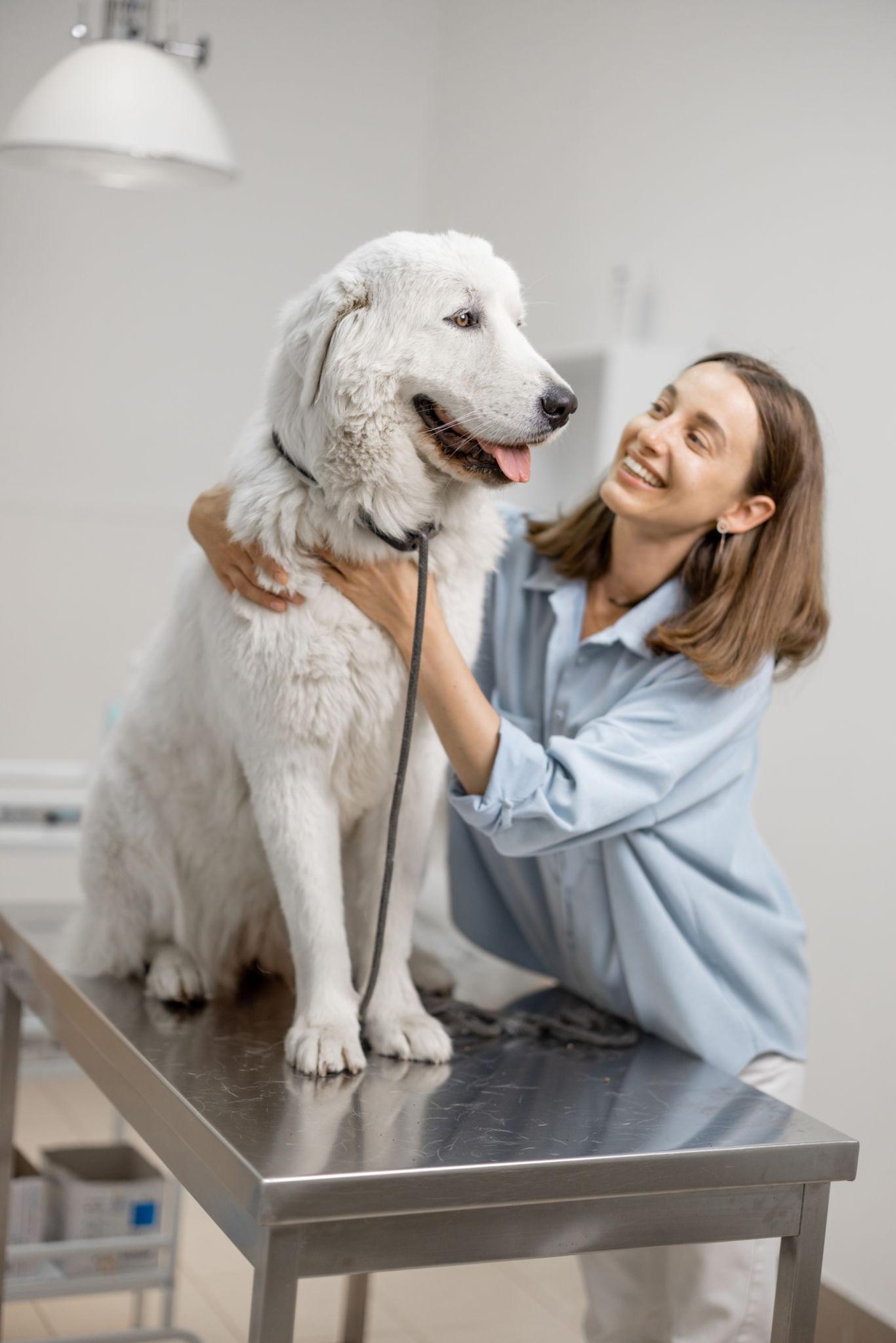 Dog-owner-in-the-USA-feeling-relieved-after-using-pet-insurance-to-cover-veterinary-costs